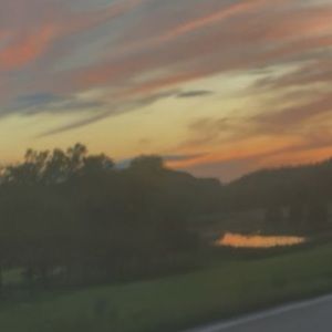 Meet your Posher, Ava